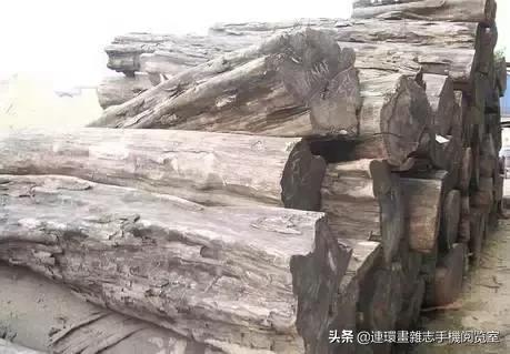 青檀绿檀紫檀红檀黑檀,紫檀白檀黑檀绿檀到底是什么木头