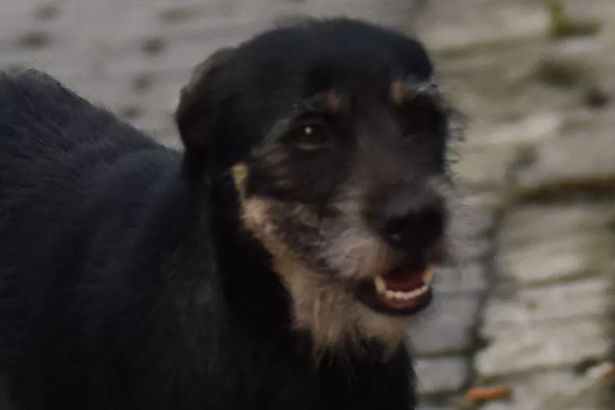 不再喧嚣的上海马路，愿余生不再辜负