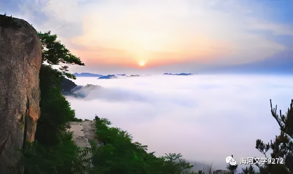 圣井山杜鹃花海,圣井山杜鹃花有多少亩