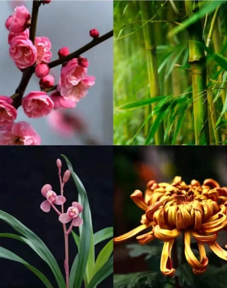 古人有哪些cp,中国传统文化cp