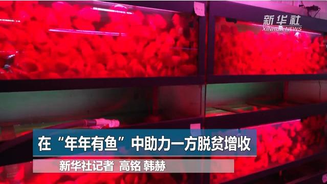 总书记关心的百姓身边事|因地制宜掘“黄金”——全国特色农业快速发展为农民增收闯出新路