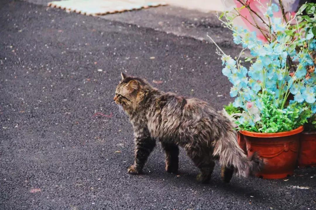 这家藏在老小区里的风味小馆，去一次就爱上话痨老板娘！