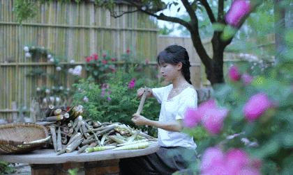 李子柒网红文化,李子柒是抖音最火网红吗