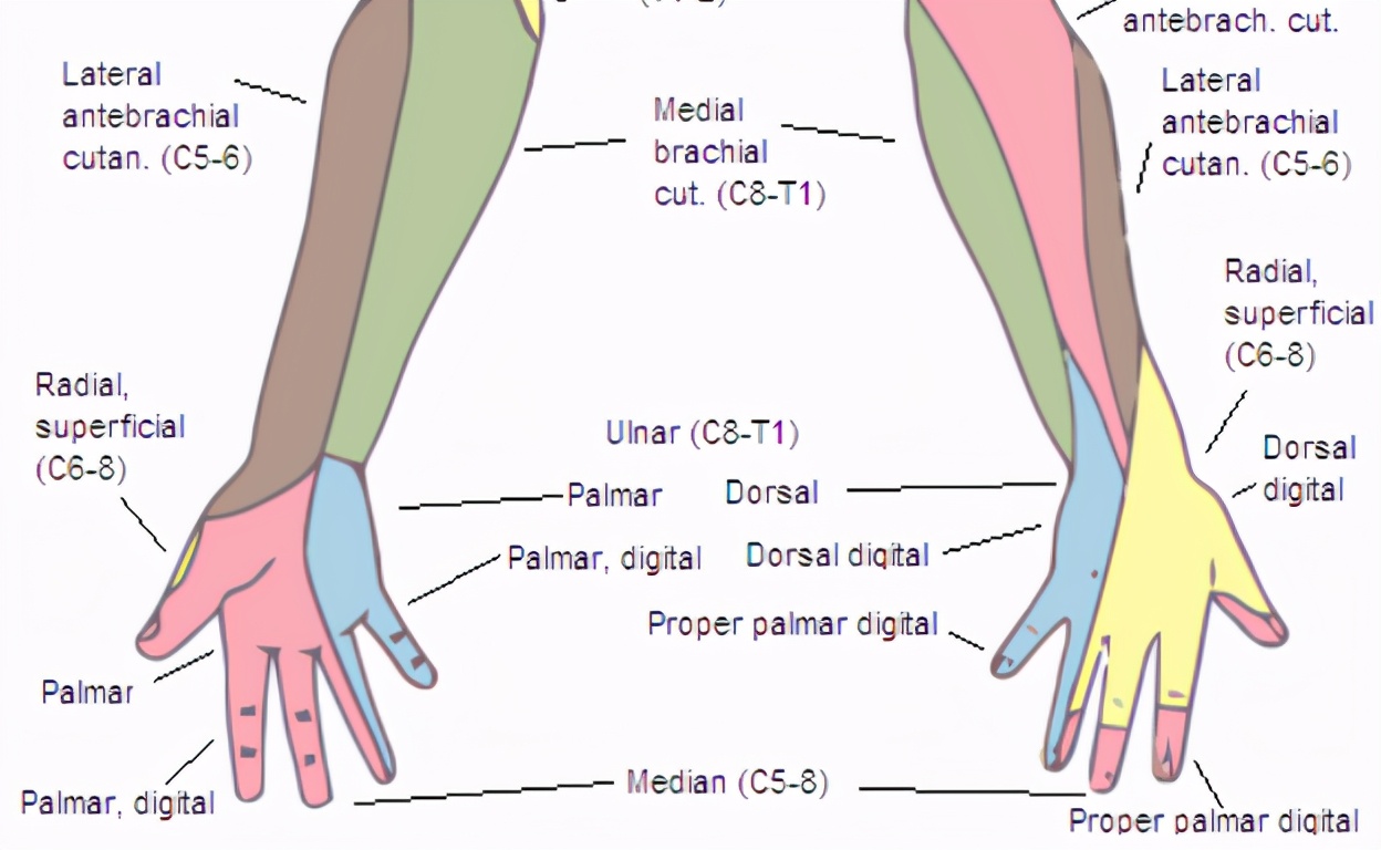 趴在床上玩手机胳膊麻,躺床上玩手机导致手麻头晕