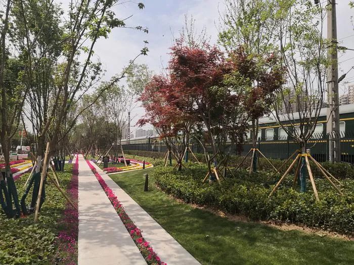 观摩项目建设推进情况,阅兵观摩