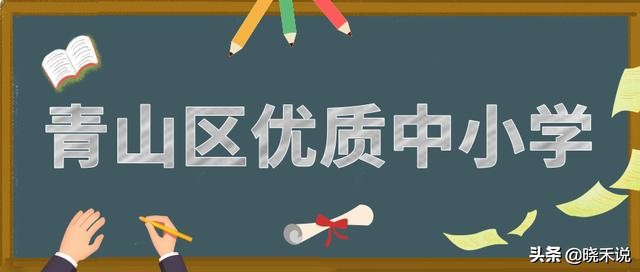 武汉优秀的初中学校都在哪些区呀,武汉市中小学学校排名