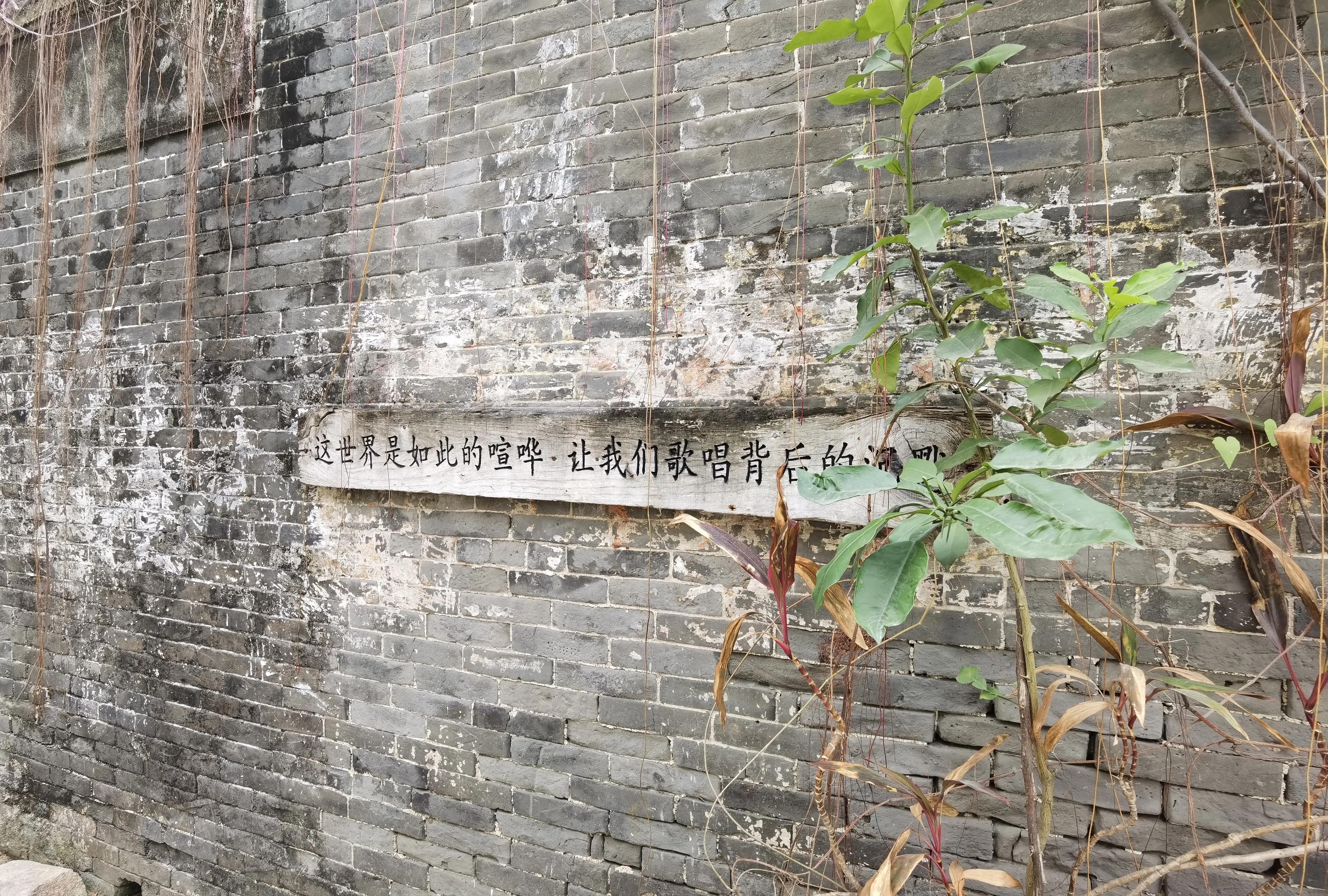 珠海淇澳岛红树林攻略,珠海桂山岛3天二夜的旅游攻略