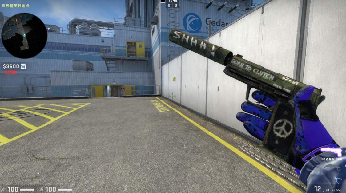 CSGO：大佬分享科学氪金指南，一百玩转所有皮肤，网友：不信