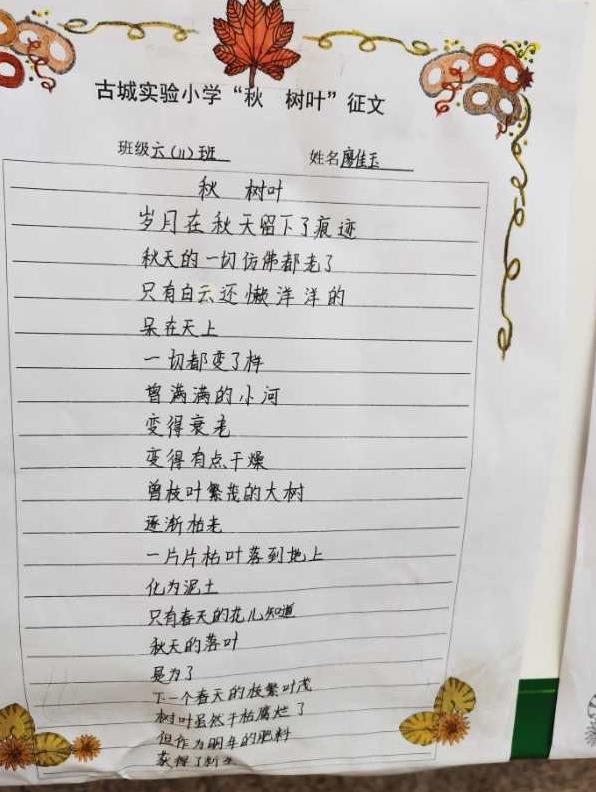 太有创意了！古城实小开展“秋•树叶”为主题的实践活动