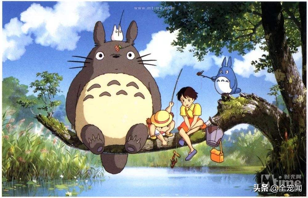 龙猫到底是个什么物种,宠物龙猫饲养注意事项有哪些