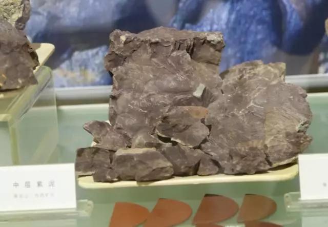 底槽紫泥和底槽清有什么区别,怎么区分中槽清和底槽清