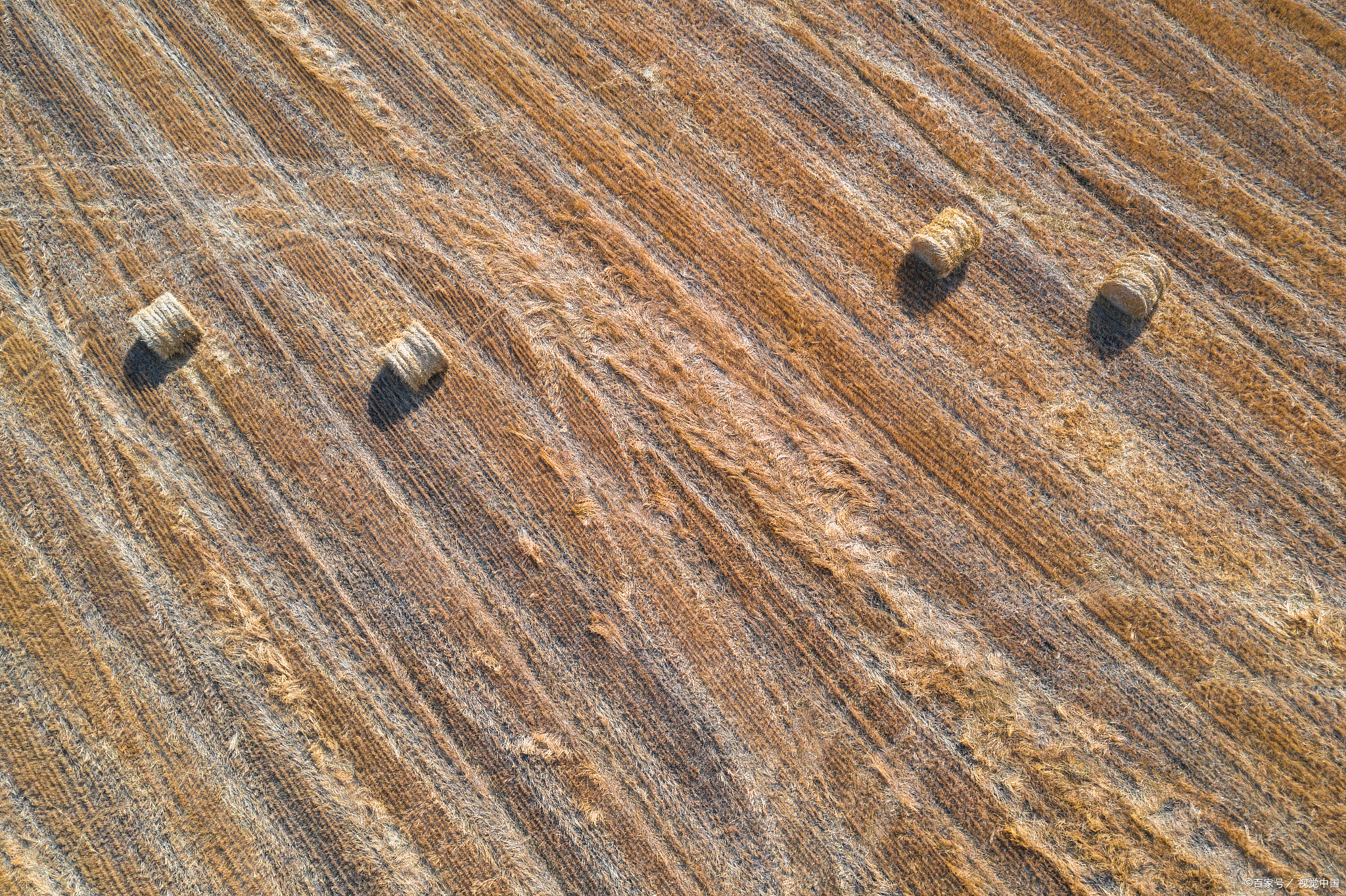 喂牛最好的预混料什么牌子的好,喂牛预混料价格