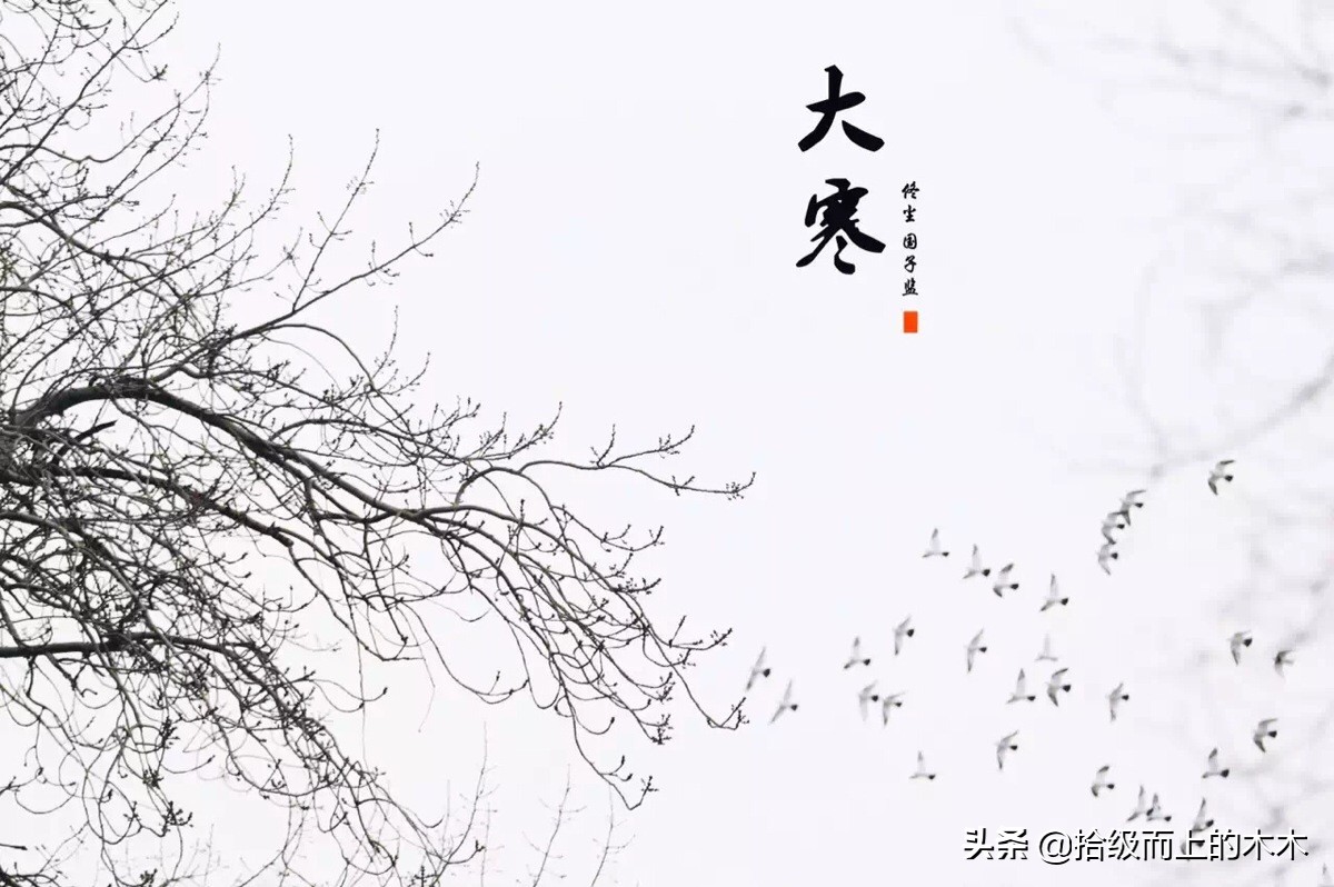 孙二蛋的幸福生活第一百八十六集,孙二蛋短篇小说之二十二