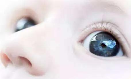 老年人吃dha的好处 (dha对眼睛有好处吗)