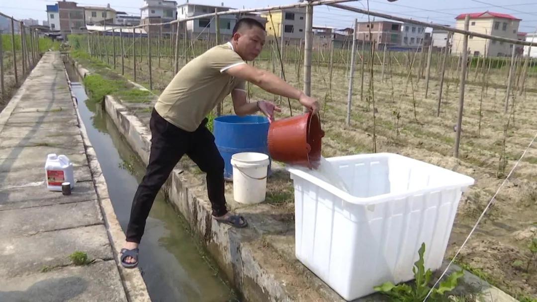 长泰发展最新消息,长泰经济快速发展