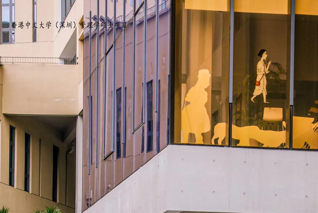香港中文大学深圳管理学硕士数据,香港中文大学深圳管理学硕士
