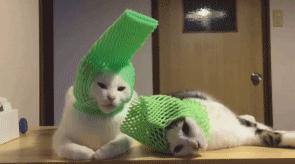 如何能拿住股票,教你一招快速买入股票