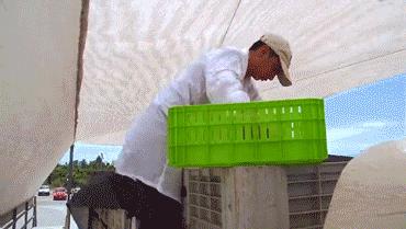 各国cherry车厘子品种，与我国大樱桃有哪些不同