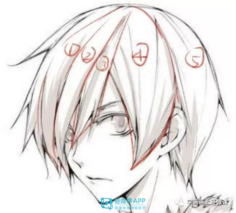 板绘初学者勾线教程,板绘勾线画基本功教学