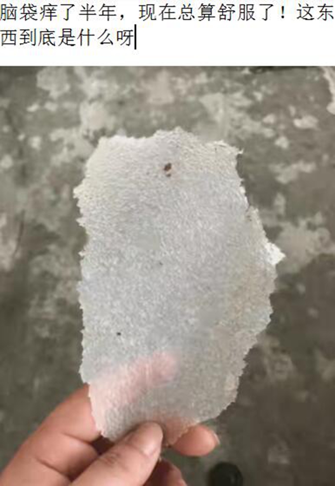 赌100袋辣条,赌十包辣条