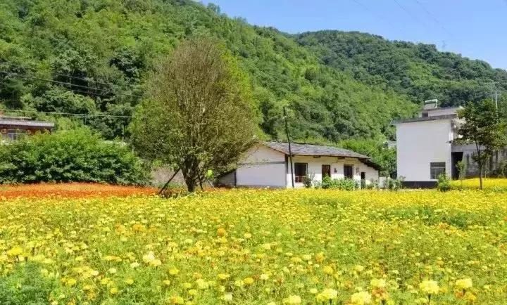 全国第一批乡村旅游重点镇陕西,首批全国乡村旅游重点村陕西名单