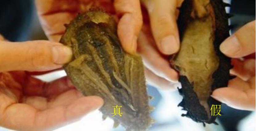 如何识别海参掺假,劣质海参怎么鉴别