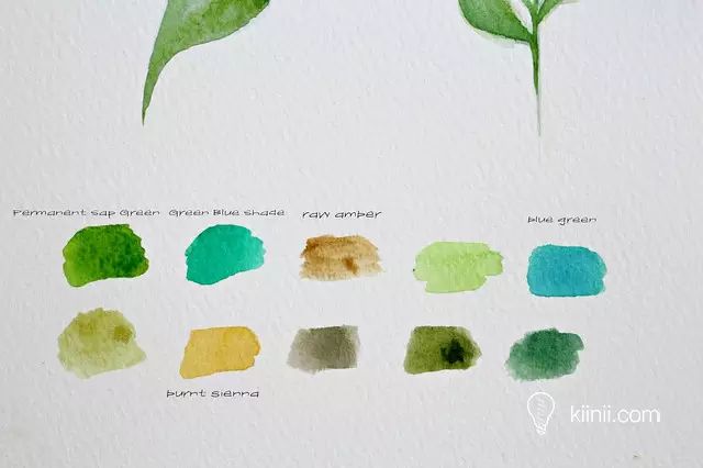 水彩写实草丛画法简单,秋叶彩绘技巧