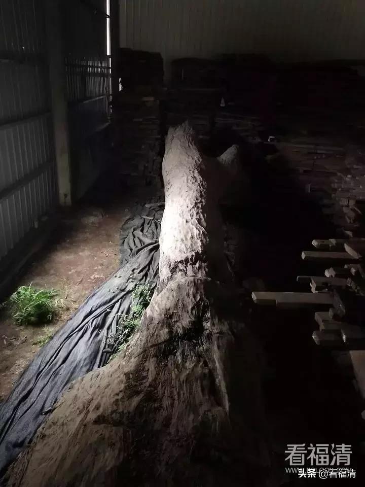 福清老板拥有的一根破烂木头，能值600万？