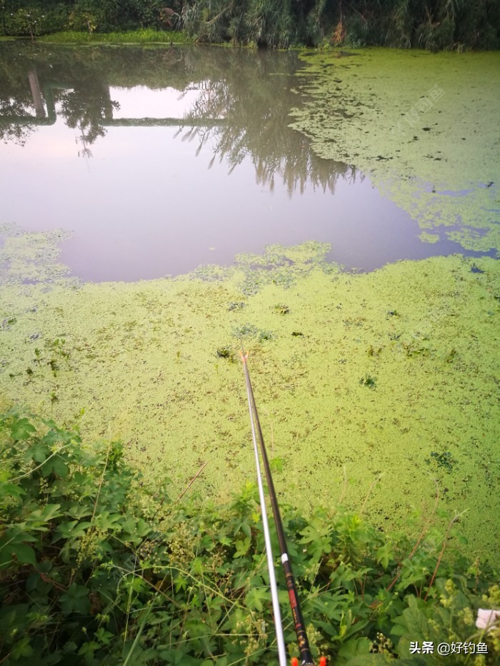 忙里偷闲的出来钓个鱼,忙里偷闲钓鱼