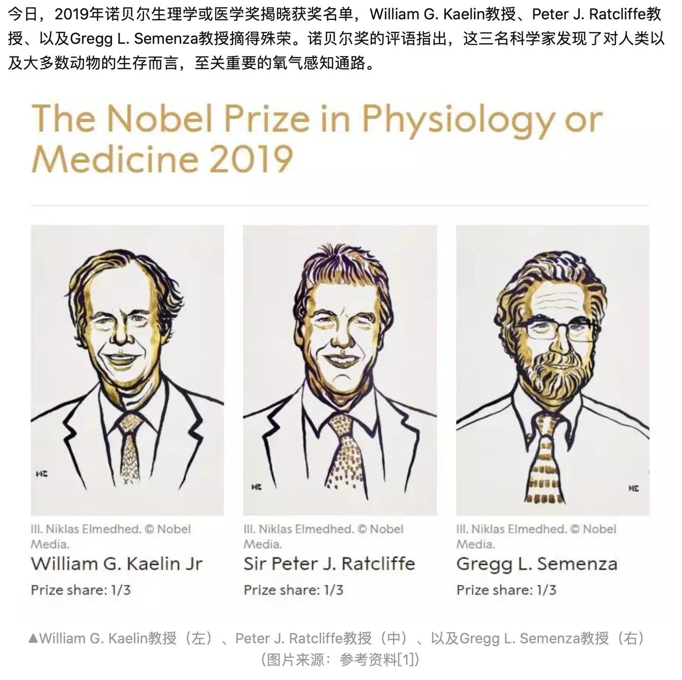 一百五十斤大胖子减肥记,猪猪减肥记录