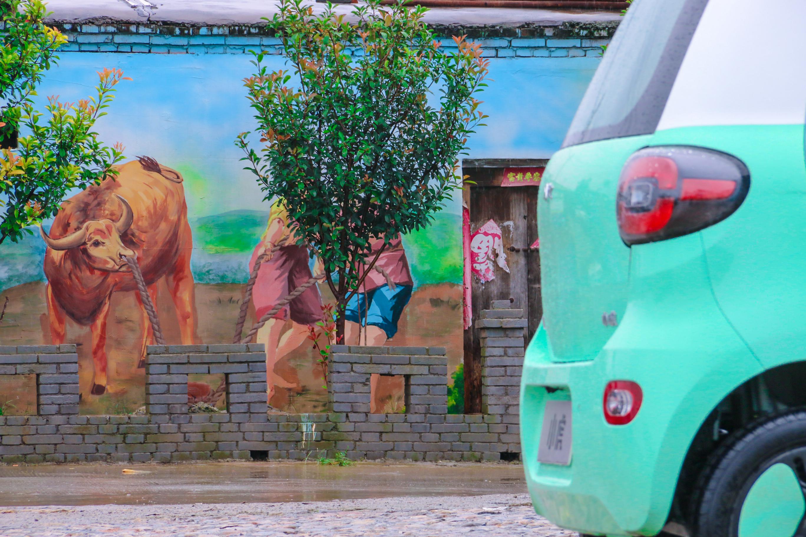 小虎试驾,小虎纯电动车