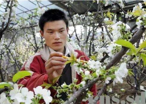 现在小型创业什么行业最赚钱见效,暴利小本创业都有什么