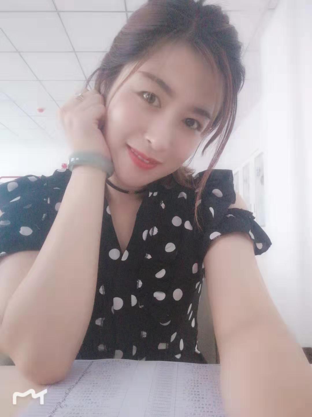 流浪的猫作品介绍,流浪的猫电影