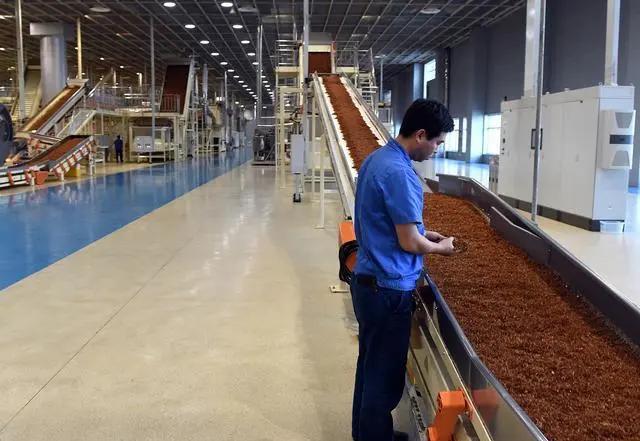 世界名校毕业回中国找工作好找吗,世界名校的毕业生找工作好吗