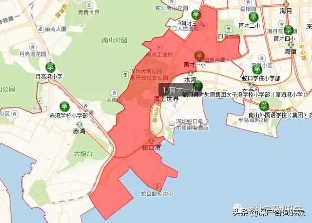 深圳最好的小学是什么,深圳排名前十的小学2019