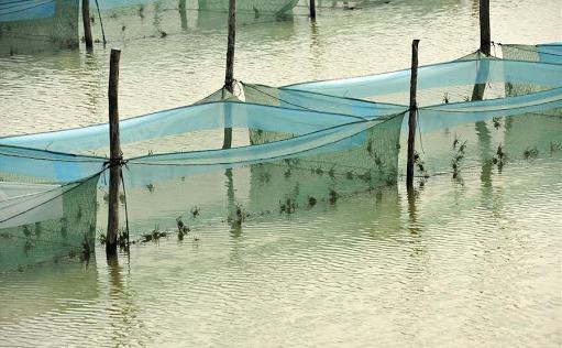 洪泽湖真实现状,洪泽湖最新状况