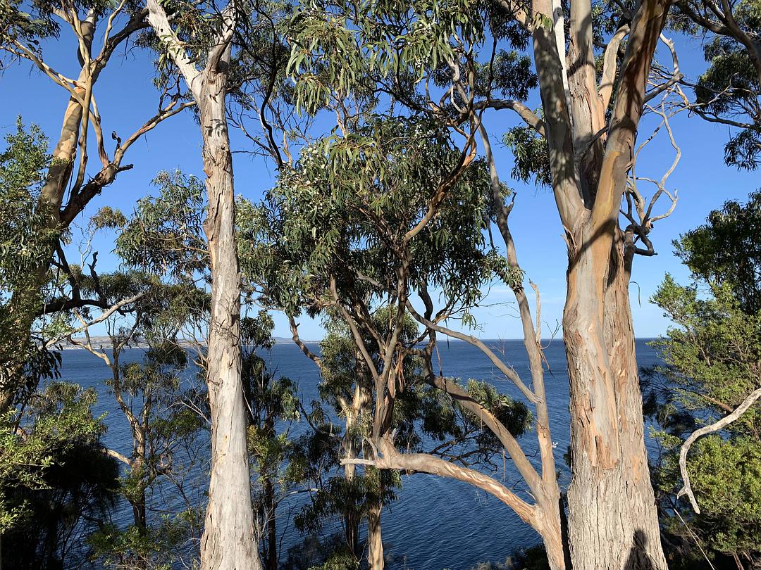 塔斯马尼亚心形小岛,降落西沙群岛