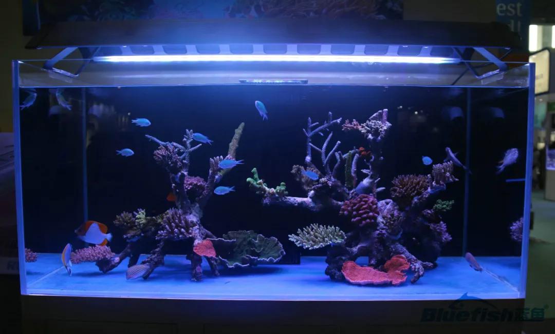 分享创富最佳方法,分享快速致富好项目