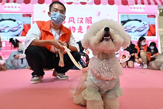 保利MALL 阿派领养日！有只萌宠在call你…