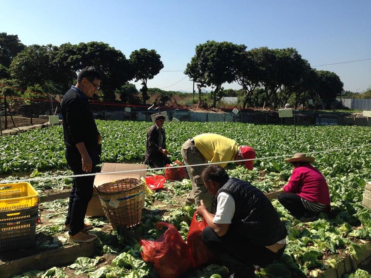 香港有农村人吗生活怎么样,香港有没有农民