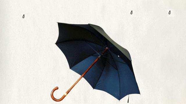 实用雨伞推荐,夏季精致雨伞