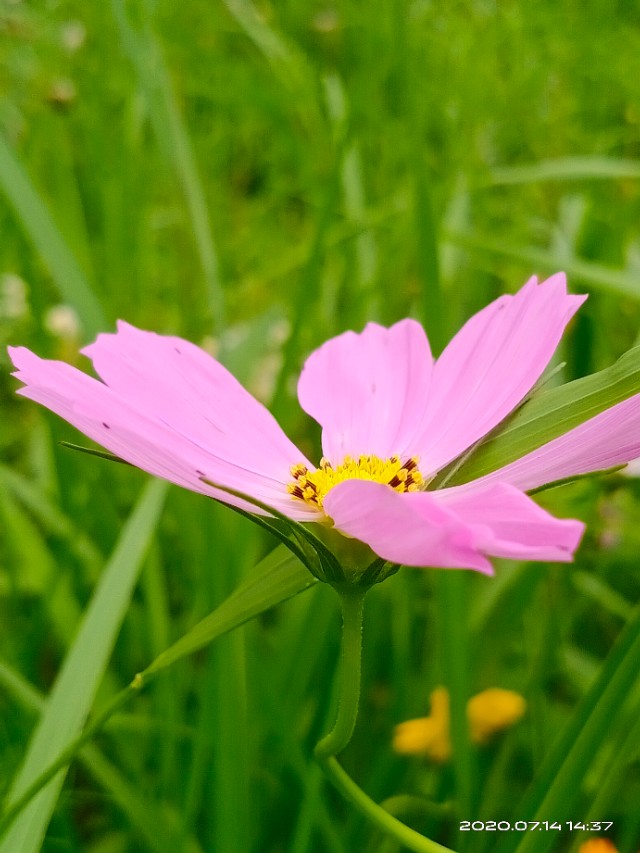 窗外下雪的散文,窗外下着雨而我在想你散文
