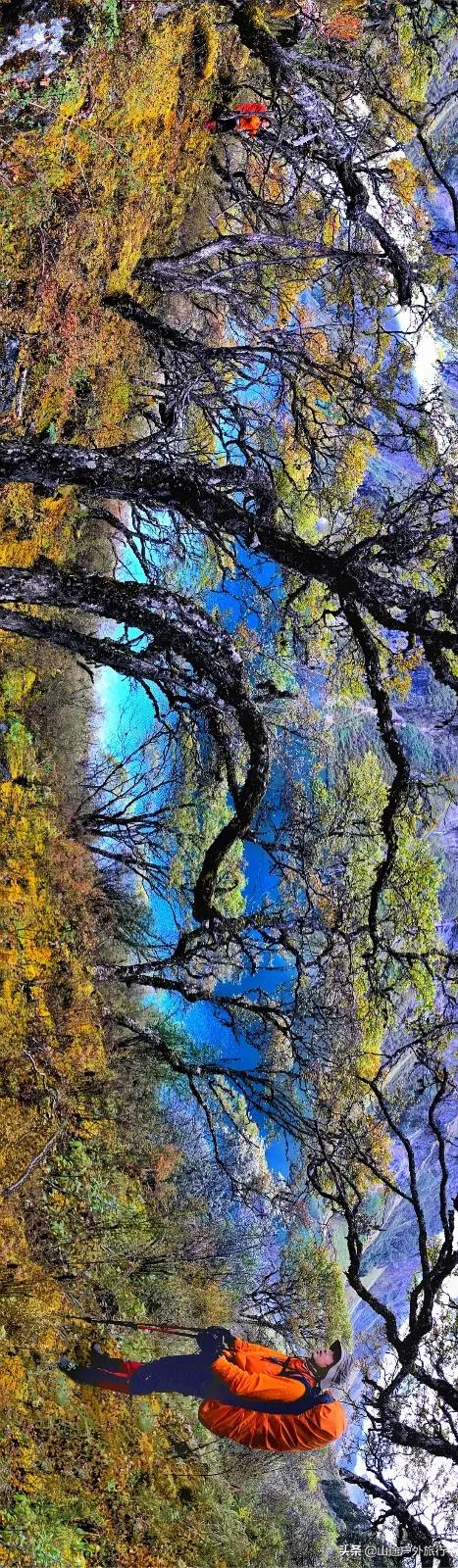 步步惊心的一天,步步惊心12剧情