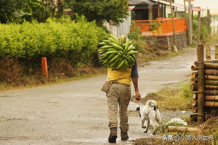 芬兰真实图片,真实的芬兰农村