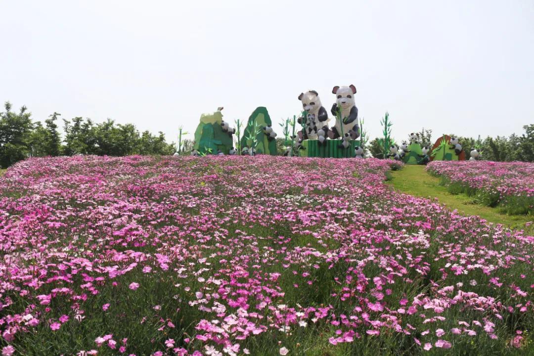 5.17遇见Ta在一起|这里有个不一样的脱单机会,速来~