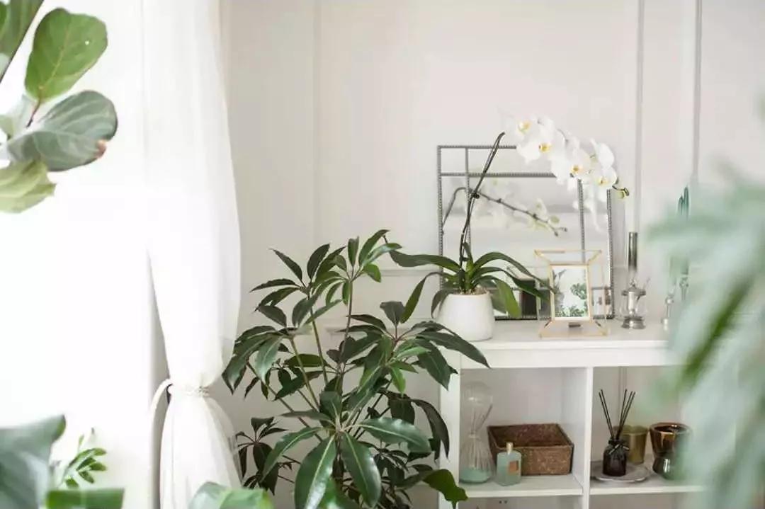 小夫妻98㎡家意外走红！登北京地铁广告，这个家才是都市里的奢侈