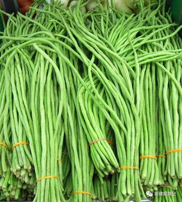 菲律宾青菜价格表,菲律宾蔬菜为什么那么贵