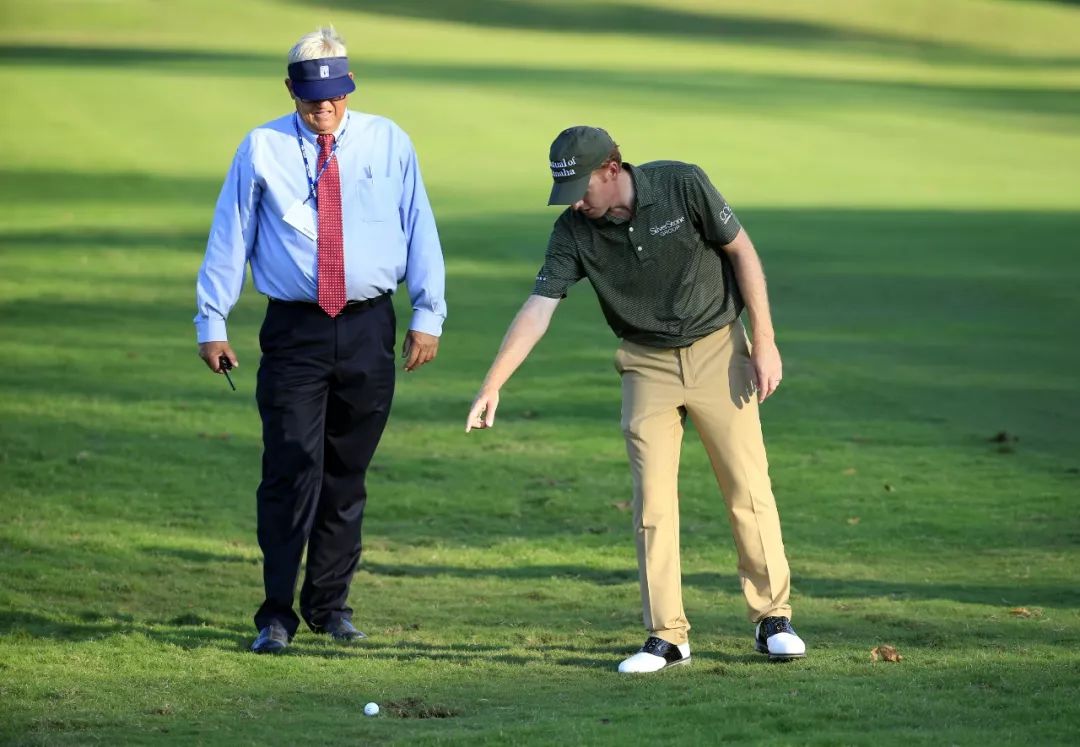 揭秘高尔夫内部,高尔夫最新政策