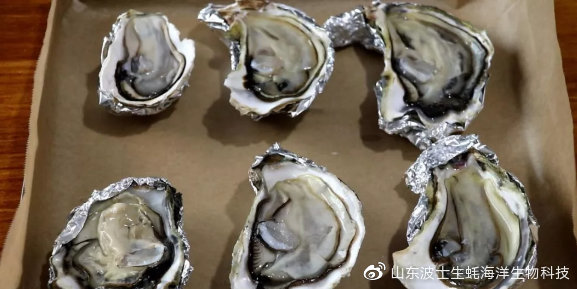 怎么样烤乳山生蚝最好吃,烤生蚝价值百万的秘方送你了