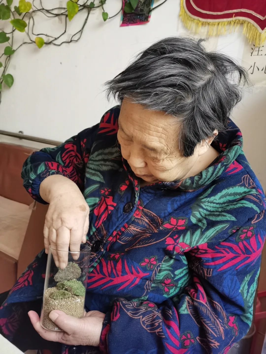 园艺种植小组活动,多彩活动健康成长